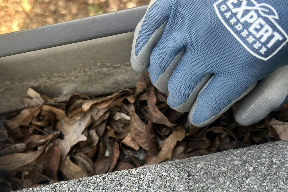 Gutter Cleaning Indian Shores FL