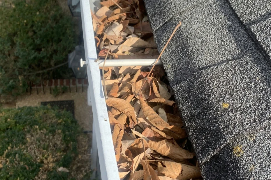 Gutter Cleaning Indian Shores FL